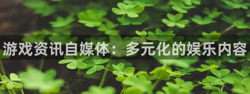 优贝娱乐注册平台：游戏资讯自媒体：多元化的娱乐内容