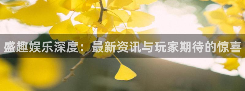 优贝娱乐集团：盛趣娱乐深度：最新资讯与玩家期待的惊喜