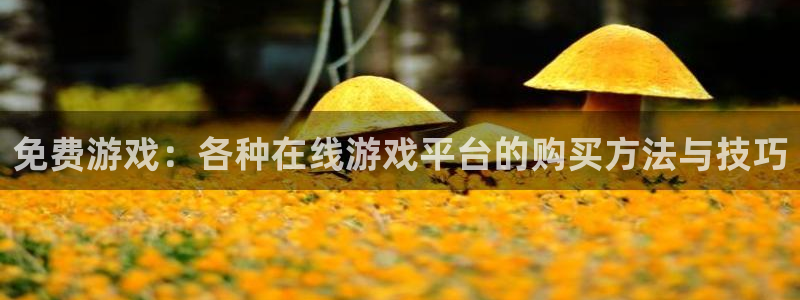 优贝娱乐登录：免费游戏：各种在线游戏平台的购买方法与技巧