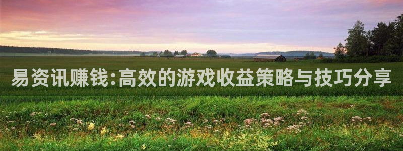 优贝娱乐平台官网注册：易资讯赚钱:高效的游戏收益策略与技巧分