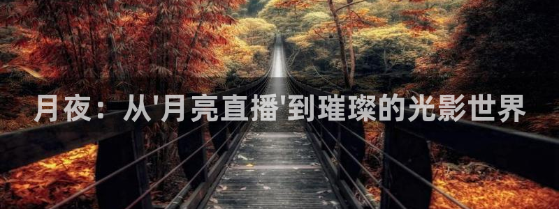 搜球直播体育：月夜：从\'月亮直播\'到璀璨的光影世界