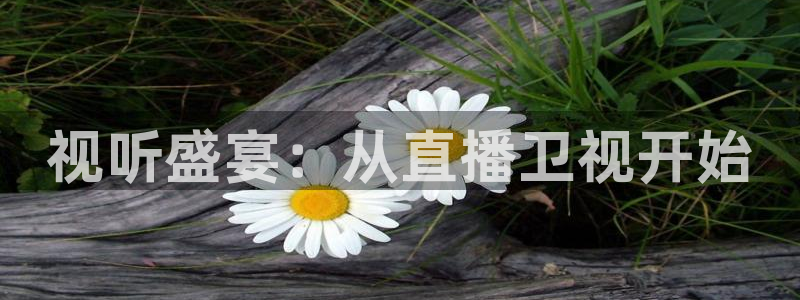 搜球吧手机直播nba直播：视听盛宴：从直播卫视开始