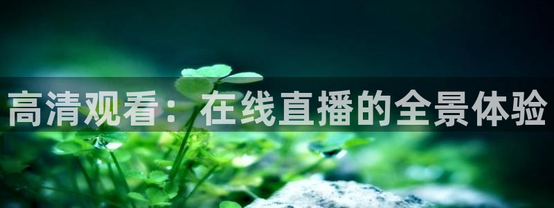 搜球吧直播nba：高清观看：在线直播的全景体验