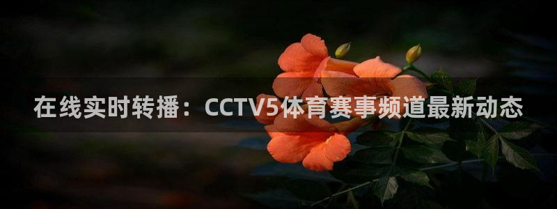 nba直播搜球吧：在线实时转播：CCTV5体育赛事频道最新动态
