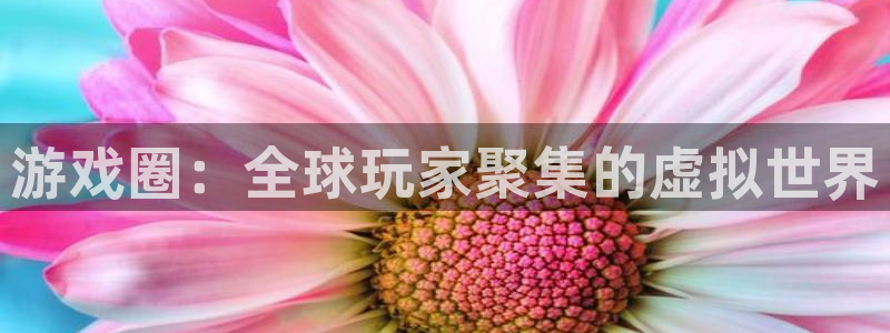 优贝娱乐登陆测速：游戏圈：全球玩家聚集的虚拟世界