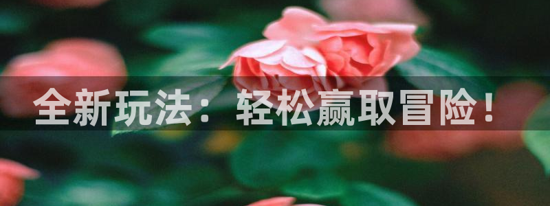 优贝娱乐登陆测速：全新玩法：轻松赢取冒险！