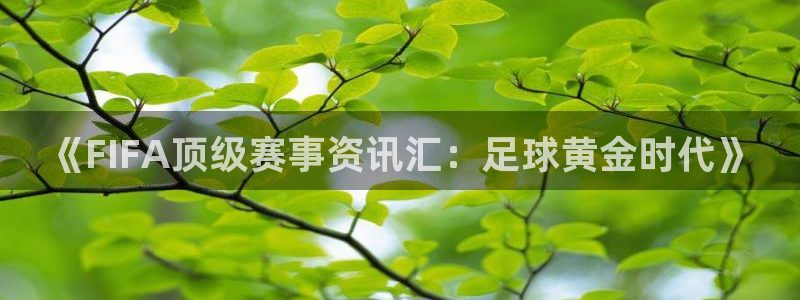 优贝娱乐平台官方网站：《FIFA顶级赛事资讯汇：足球黄金时代