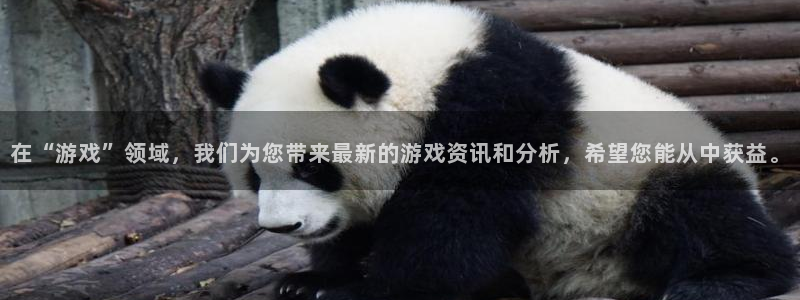 优贝娱乐网页登录入口官网：在“游戏”领域，我们为您带来最新的