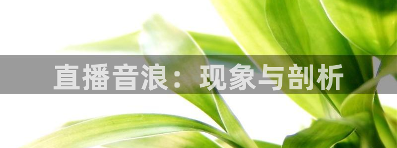 搜球直播：直播音浪：现象与剖析